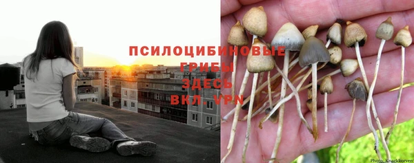 марки nbome Щёлкино