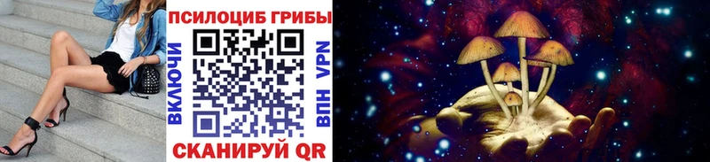 Псилоцибиновые грибы Cubensis  Павловская 