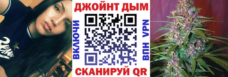 Конопля сатива  цена   Павловская 